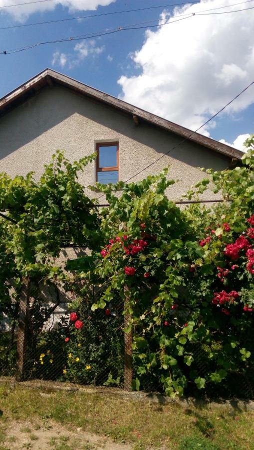 Къща Джулия Sapareva Banya Exterior foto