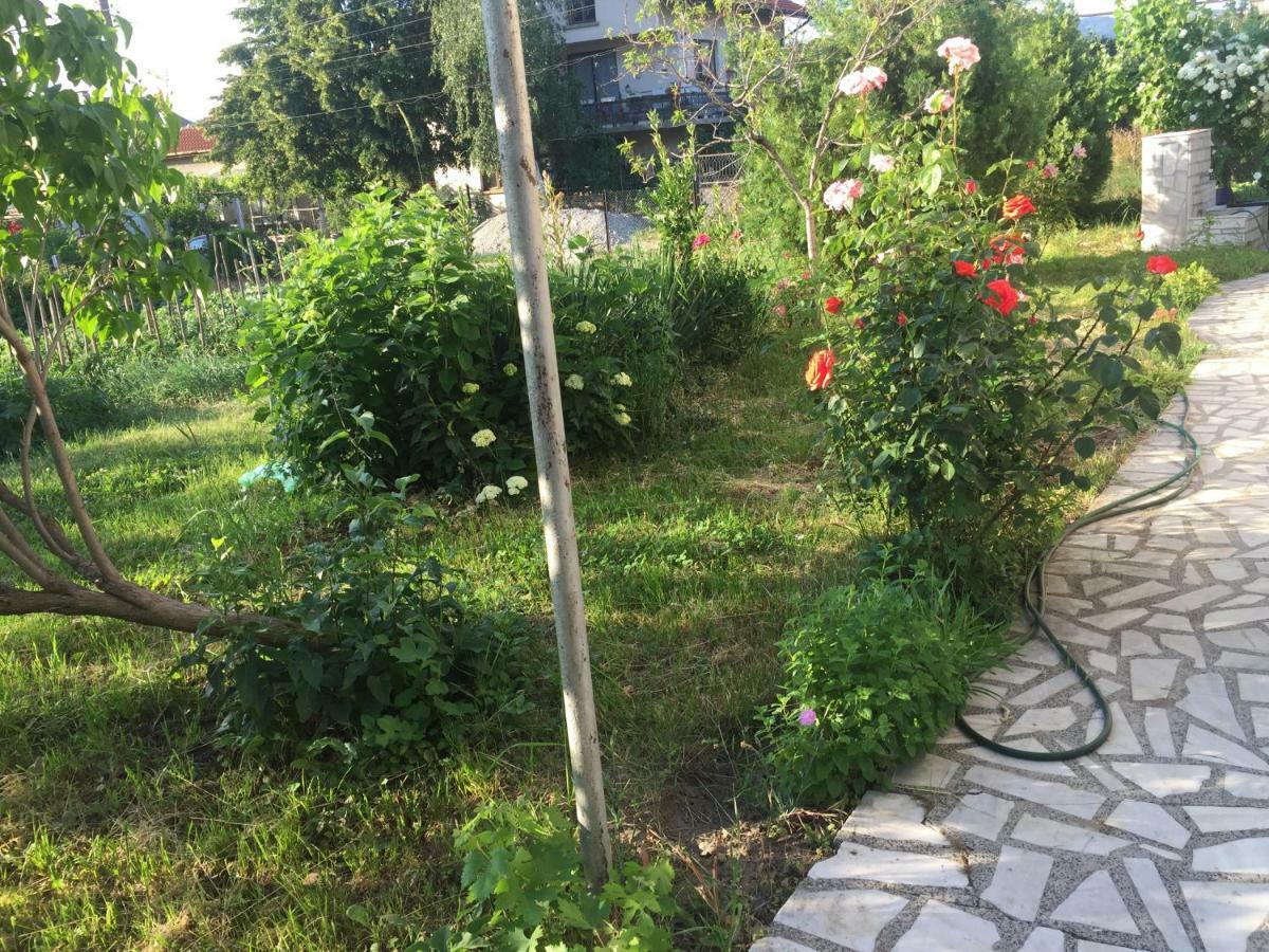 Къща Джулия Sapareva Banya Exterior foto